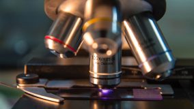<strong>TREINAMENTO DE VALIDAÇÃO DE METODOLOGIA ANALÍTICA </strong> NQA