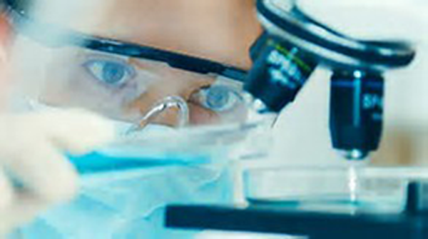 <strong>O potencial do mercado de trabalho para o farmacêutico no setor industrial</strong> setor industrial