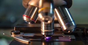 Validação de Metodologia Analítica Validação de Metodologia Analítica